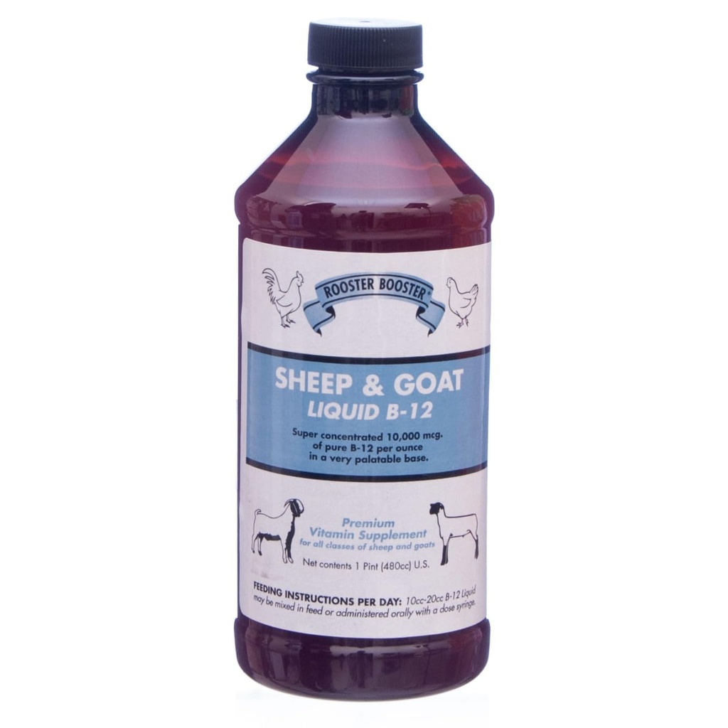 Booster Booster B-12 Moutons et chèvres liquides, 16-Ounce