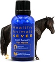 HA4E - Horse Colic Support - Vermindert buikpijn en maagproblemen - Zeer effectief, natuurlijk Homeopathisch supplement - 300 Tabletten