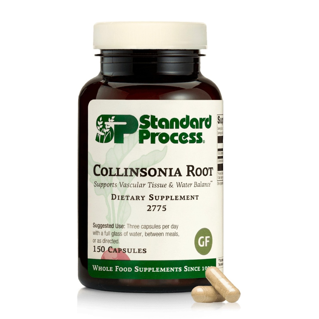 Processus standard Collinsonia Root - Supplément de soutien des tissus vasculaires sains - Supplément de santé de Bladder & Rein avec Collinsonia Root - Supplément à Aide Digestive Health - 150 Capsules