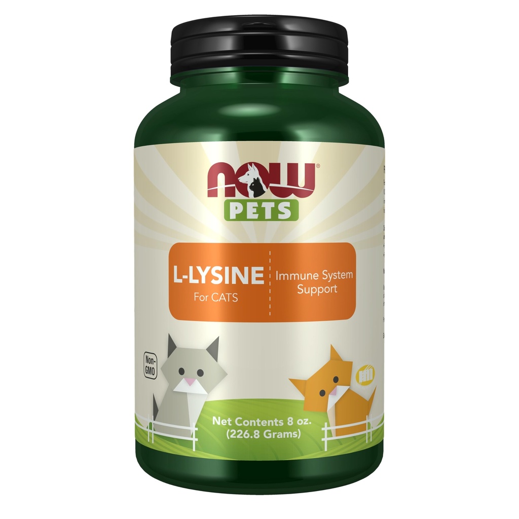 NOW Pet Health, L-Lysine Supplement, Poeder, Geformuleerd voor katten, NASC gecertificeerd, 8-Ounce