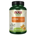 NOW Pet Health, L-Lysine Supplement, Poeder, Geformuleerd voor katten, NASC gecertificeerd, 8-Ounce