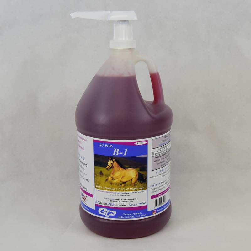 SU-PER B-1 Horse Calming Supplement - Equine Vitamine B-1 Ondersteuning Horse Calmer Liquid - Appetite Booster Supplement voor paarden - 1 Gallon + Pomp, 4 maanden levering
