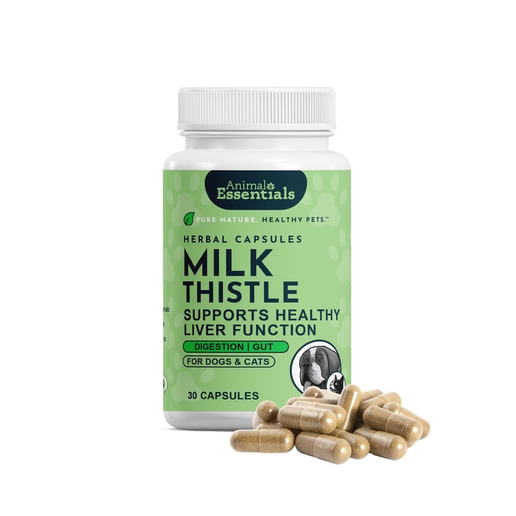 Dieressentials Melkdistel voor honden & katten - Leverondersteuning, melkdistel 150mg, silymarin, leversupplement, plantaardige capsules, biologische menselijke kwaliteit kruiden, dierenarts Aanbevolen - 30 Tel.