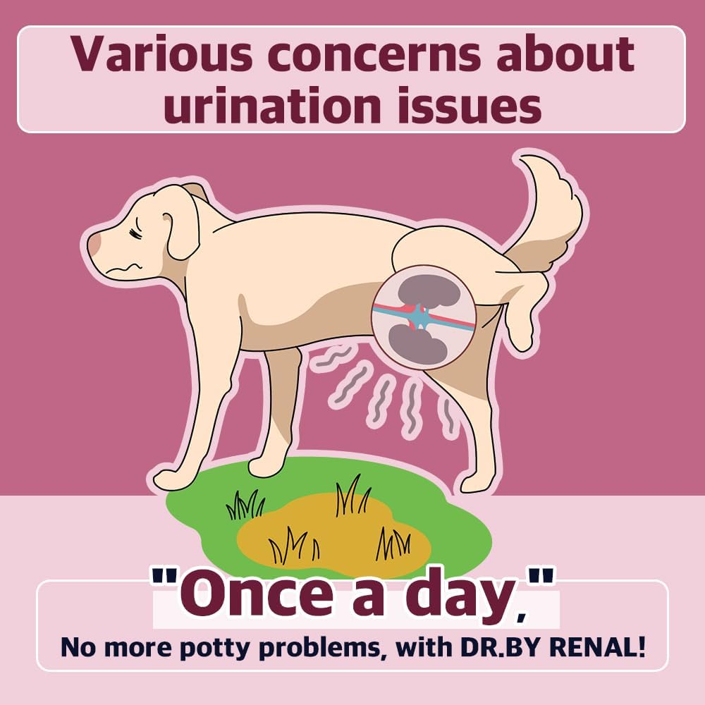 Dr.by Renale Nierblaas Urethra Voedingssupplement voor honden en puppy - Sweet Potato Flavored Dog Supplement voor hond UTI, 30 Tel individueel verpakt (pakket van 1)