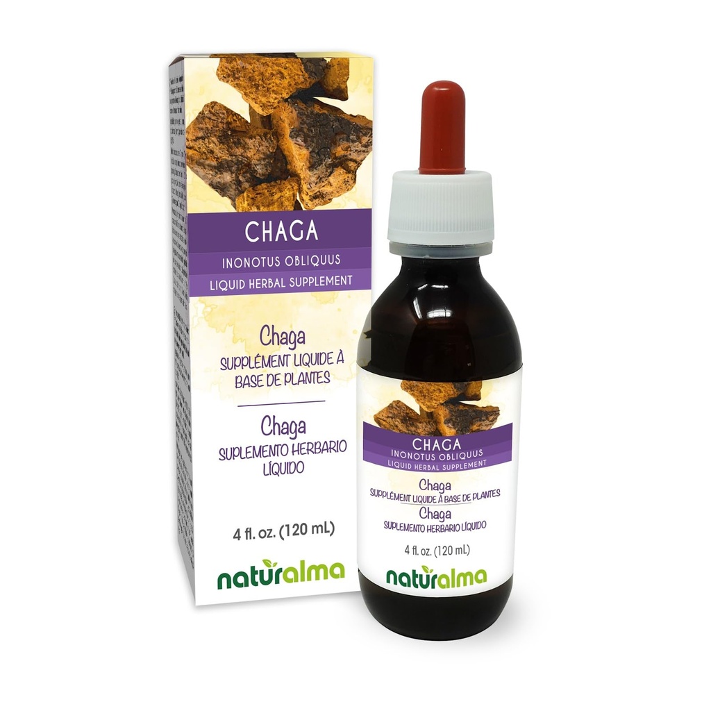 Naturalma Chaga (Inonotus obliquus) Fongus ou champignons Teinture sans alcool - 4 fl oz Extrait liquide dans les gouttes - Supplément à base de plantes - Vegan
