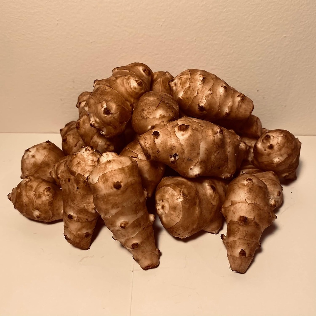 Sunchokes Adama Foods - 2 1/2 pond (2,5 lbs) voor het planten of eten van FEDEX 2 dagen