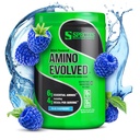 Soorten Nutrition Amino Evolved EAA & BCAA Powder, Fermented Branched Chain Amino Acids, Muscle Recovery & Endurance, Pre & Post Workout Supplement (Blue Raspberry, 30 Servings)