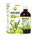 Basic Ayurveda Aloe Amla Mix Juice Blend of Aloe Vera & Amla Fruit First Press Virgin Juice 