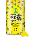 HARDLABZ Good Mood - All Natural Nootropic met Lion's Mane Mushroom en Kruidenextracten voor cognitieve en geestelijke ondersteuning - Stress Relief, Brain Performance, Mood Enhancement, 90 Capsules