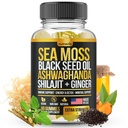 Sea Moss, Black Seed Oil, Ashwagandha, Ginger, Shilajit Gummies met Vlierbes, Chlorofyl, Turmeric Bladderwrack Sea Moss Gummies Advanced Strength Formula - All in 1 Bundle - USA Made (60 Gummies)