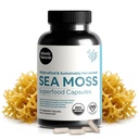 Atlantic Naturals Sea Moss Capsules with Moringa, Ashwagandha, Black Seed Oil, Ginger & Ginseng 