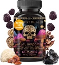 ad hoc Shilajit Pure Himalaya Organic Gummies - Immune Support, Energy Support Supplements - Shilajit Resin Lions Mane, Cordyceps, Reishi, Turkije Tail, Chaga,Shiitake Mushroom Gummies (120 Ct)