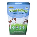Gras-Fed Wei Proteïne Poeder voor Immune Vitaliteit, Natuurlijke Smaak 2.5lbs (56 Servers), 15g Proteïne Per Serve, Vital Wei, Clean Holistic, Wellness Nutrition