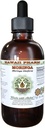 Hawaii Pharm Moringa Alcohol-Free Liquid Extract, Moringa (Moringa Oleifera) Leaf Glycerite Natural Herbal Supplement, USA 4 oz