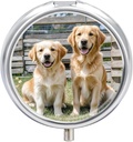 Round Pill Case 3 Compartment Golden Retriever Dogs Puppies Pets Pill Box Mini Medicine Pill Organizer Portable Travel Pillbox for Pocket Purse Metal Pill Container for Vitamins Fish Oil Supplements