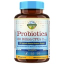 Terranics Probiotica 60 Miljard CFU, 20 Strains, 60 Veg Capsules, Prebiotica & Probiotica, Plank Stable Probiotic Supplement for Men & Women, Digestief & Immune Health, Non-GMO, NO Soy, Dairy & Gluten
