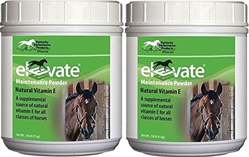 Kentucky Performance Producten 2 Pack van Lift Maintenance Power, 2 Ponden Elke, Natuurlijke Vitamine E Horse Supplement