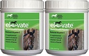Kentucky Performance Producten 2 Pack van Lift Maintenance Power, 2 Ponden Elke, Natuurlijke Vitamine E Horse Supplement