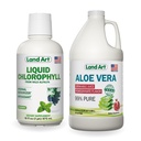 Land Art Aloë Vera Juice - Granaatappelgearomatiseerd - Koud verwerkt - Innerlijke Filet van biologische verse bladeren - 64floz + Liquid Chlorofyl Mint Flavored - Cold Extracted from Wild Non-GMO Alfalfa - 16floz