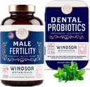 WINDSOR BOTANICA Mannelijke vruchtbaarheid Supplement en tandheelkundige Probiotica Gezondheid en Wellness Bundle