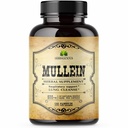 Herbal Supplement voor Lung Cleanse, Detox, en Digestieve Wellness Vegan, Non-GMO, 100 Capsules