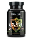Leviathan Nutrition GI 