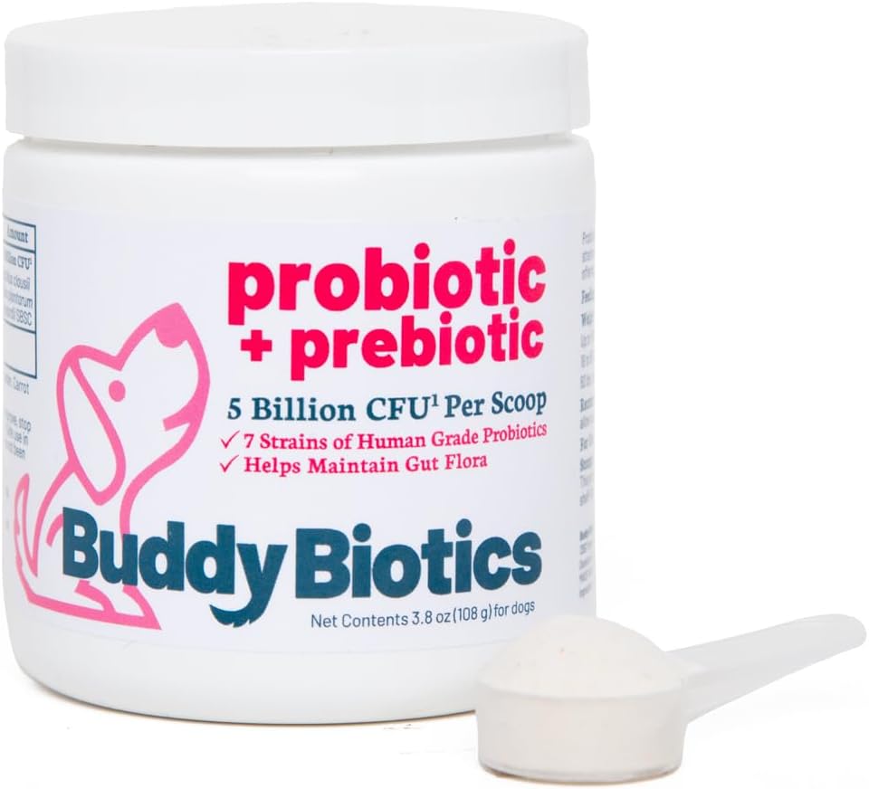 Buddy Biotics Probiotique + Prébiotique pour chiens- Gut Flora Health, Digestive and Imune Health, Diarrhée et Bowel Support – 5 Million CFU par Scoop