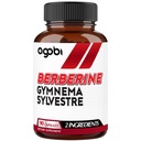 agobi Berberine Supplementen 500 mg met Gymnema Sylvestre - Super Geconcentreerde Formule voor het immuunsysteem, Circulatie Gezondheid, Digestieve & energieproductie - 90 capsules