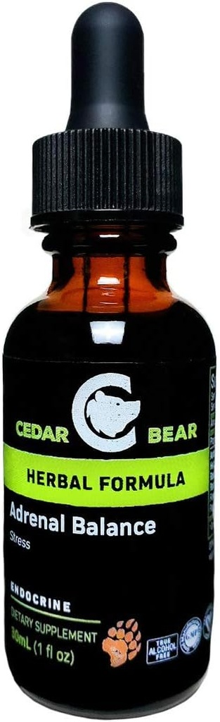 Cedar Bear Adrenal Balance - Liquid Herbal Supplement met Adaptogenen die vermoeidheid bestrijdt, Stress en Energie verhogen 1 fl oz / 30 ml