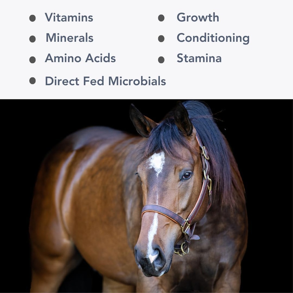 Mega-Mag (35lb) Balanced Multi Vitamine/Mineral Supplement for Alfalfa Hay Diets...