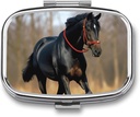 Pill Box Portable Pill Case voor Pocket Horse op het gazon reizen kleine pil Organizer 2 Compartiment metalen pil Container houder voor Medicine Vitaminen Visolie Supplementen