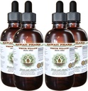 Hawaii Pharm White Willow Alcoholvrije Liquid Extract, Biologische White Willow (Salix Alba) Gedroogde Bark Glycerite Natural Herbal Supplement, USA 4x4 fl.oz