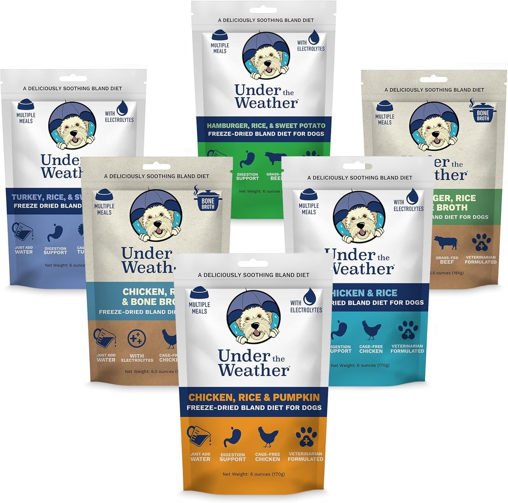 Onder het weer Bland Diet voor honden 