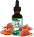 Nature's Réponse sans alcool Reishi Extract Fruiting Body, 1-Fluid Ounce Extrait liquide Immuni System Builder