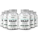 Organics Ocean One-Per-Day Shilajit voor mannen en vrouwen - Natuurlijke en krachtige Shilajit supplement voor leeftijd-versterken, botsterkte, Hormone ondersteuning en meer - 6 flessen Shilajit Capsules