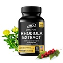 Rhodiola Rosea Supplement High Potency Extract 500mg - 3% Rosavins 1% Salidrosides met Ashwagandha Shisandra Passion Flower Herb Poeder Capsules - Natuurlijke manier om stress te verlichten - Pillen voor energie