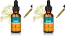 Herb Pharm OSHA Root Liquid Extract voor ademhalingsondersteuning - 1 Ounce (verpakking van 2)