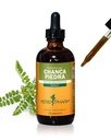 Herb Pharm Chanca Piedra Liquid Extract voor Urinaire Systeem Ondersteuning - 4 Ounce