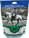 Funky Licorne Gastic Chews - saveur MINT