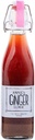 Annie's Ginger Elixir, 1-Pack de 17oz, Pure Natural Tonic Ginger Shot, Digestive Cleanse stimule la défense immunitaire, la santé et le bien-être Gut quotidien, Boissons non OGM