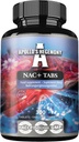 APOLLO'S HEGEMONY NAC+ 150 mg - N-Acetyl L-Cysteine en Artichoke Extract, 300 Vegan tabletten, 1200 porties, Aminozuur Dieetsupplement, Ondersteunt Detox en Lever Gezondheid