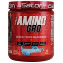 iSatori Amino-GRO BCAA Powder, vertakte ketenAminozuren met Glutamine, Electrolyte Powder & Bio-GRO Bio-Active Peptiden voor Spiergroei & Post Workout Herstel, Blue Razz Snow Cone (30 Servings)
