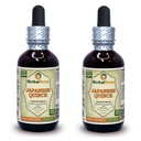 Chinese Quince (Chaenomeles Speciosa) Tinctuur, gedroogde vruchten Liquid Extract (Grote Naam: HerbalTerra, Trots Made in USA) 2x2 fl.oz (2x60 ml)