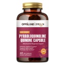 Pyrroloquinoline Quinon-PQQ Supplement 20 mg-Ondersteunt de gezondheid van het hart*-Gluten-Free,Non-GMO,Vegetarian-60 Veg Capsules