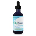 Nutra Biogenese Methylfactoren - Vitamine B12 Drops, Methylfolaat Drops, Sublingual Liquid for Women & Men, B Complex with Folic Acid for Kids & Adults, Energy Supplement, Sugar Free - 2 Fl Oz