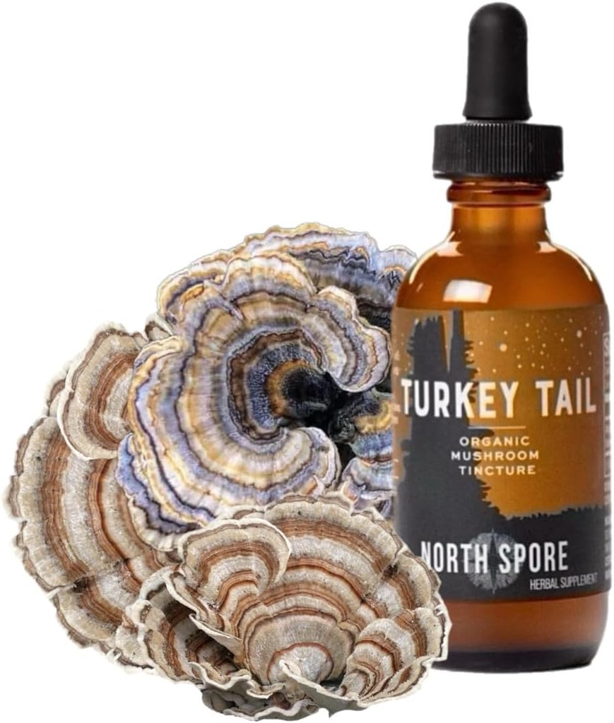 North Spore Organic Turkey Tail Tinctuur 