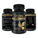 Gallobiotic Natural Multivitamine voor Rooster, Hens - 100 Tablets