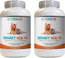 Hondenblaas Ondersteuning - Hond Urinaire Gezondheid Formule - Helpt met Incontinentie en Blaasproblemen - Immune Boost - Honden Cranberry Supplement kauw - 2 flessen (180 Treats)