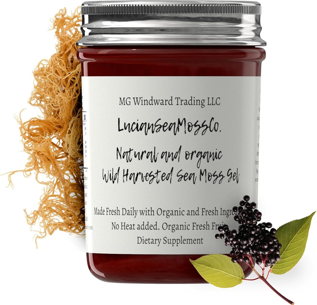 Dr. Sebi Inspiré Alcaline Bio Fresh Elderberry Ginger Sea Moss Gel - Vitamines essentielles naturelles, Minéraux Plus Antioxydants Sauvages récoltés de Sainte-Lucie (8 oz.)