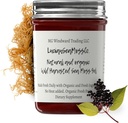 Dr. Sebi Geïnspireerd Alkaline Biologische Verse Vlierbes Ginger Sea Moss Gel - Natuurlijke Essentiële Vitaminen, Mineralen Plus Antioxidanten Wild Geoogst uit Saint Lucia (8 oz.)